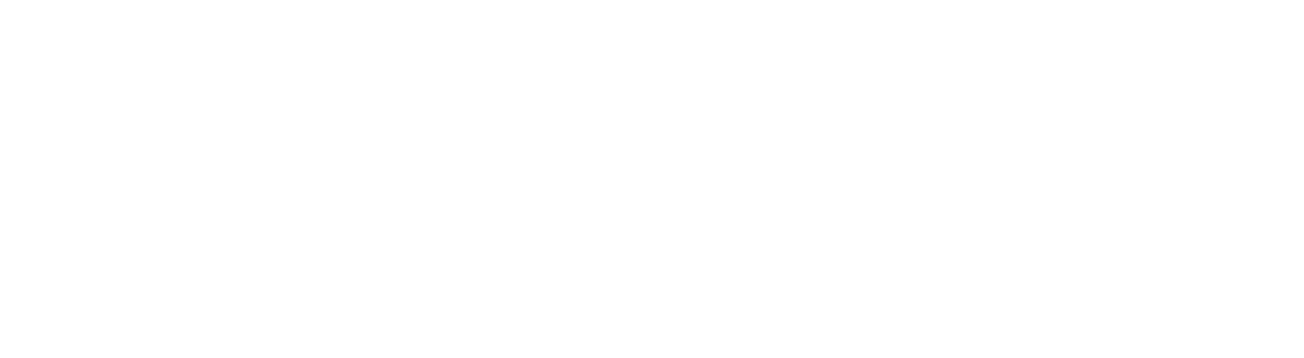 Brain003
